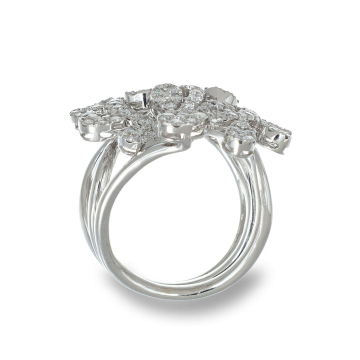 Frozen Garden Ring