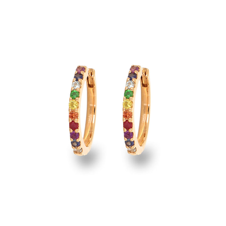 Color Bloom Hoops