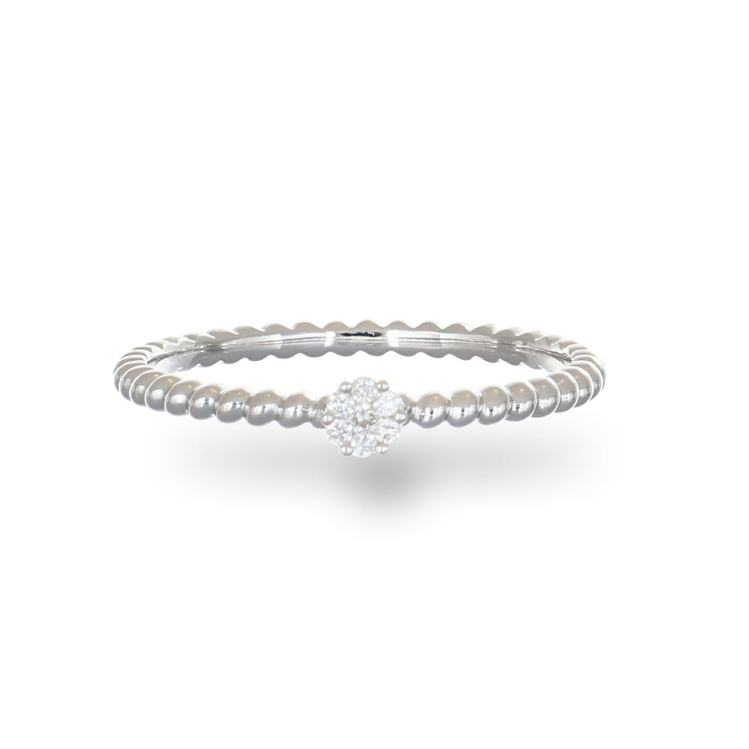 Daisy Dream (White)