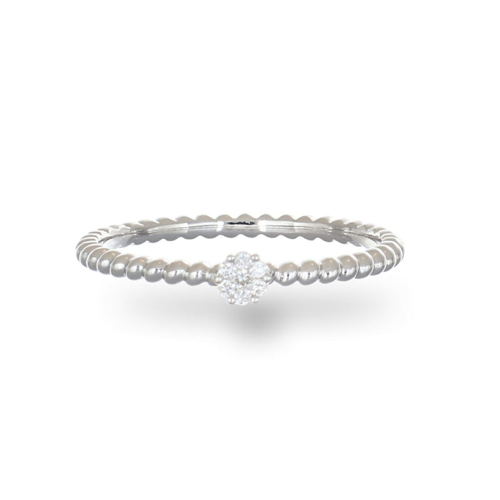 Daisy Dream (White)